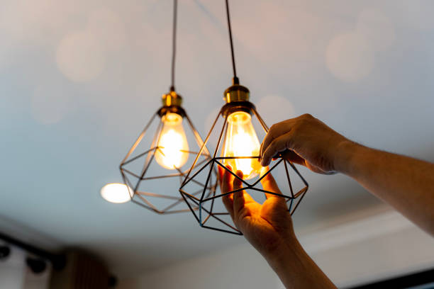 Best Residential Electrician Services  in Pine Castle, FL